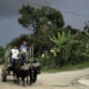 Cuba’s Farmers Doesn’t Need Foreign Investment to Thrive