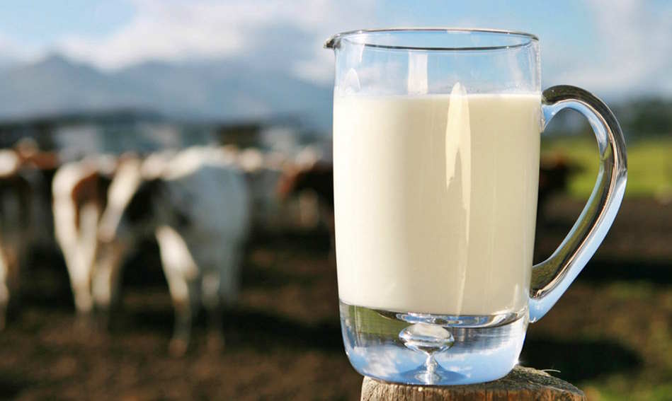 Francia enviará contenedor de leche en polvo para niños en Cuba