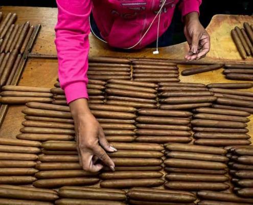 Le 23e Festival du Habano, la magie du cigare cubain