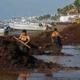 Sargassum Is Coming, what does it mean for Cuba?