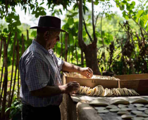 Casabe, Cuba's little-known traditional bread, seeks world recognition