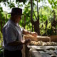 Casabe, Cuba's little-known traditional bread, seeks world recognition