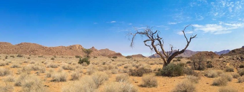 Discovering The Stunning Natural Beauty Of Namibia: National Parks And Outdoor Adventures