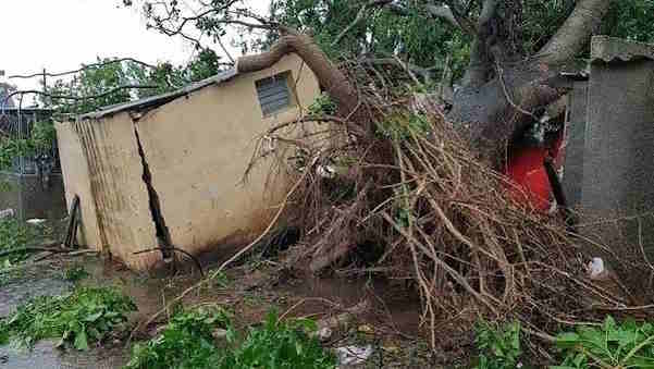 Hurricane Idalia caused several damages in western Cuba