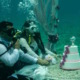 Cuban couple say “I do” under the sea in Havana