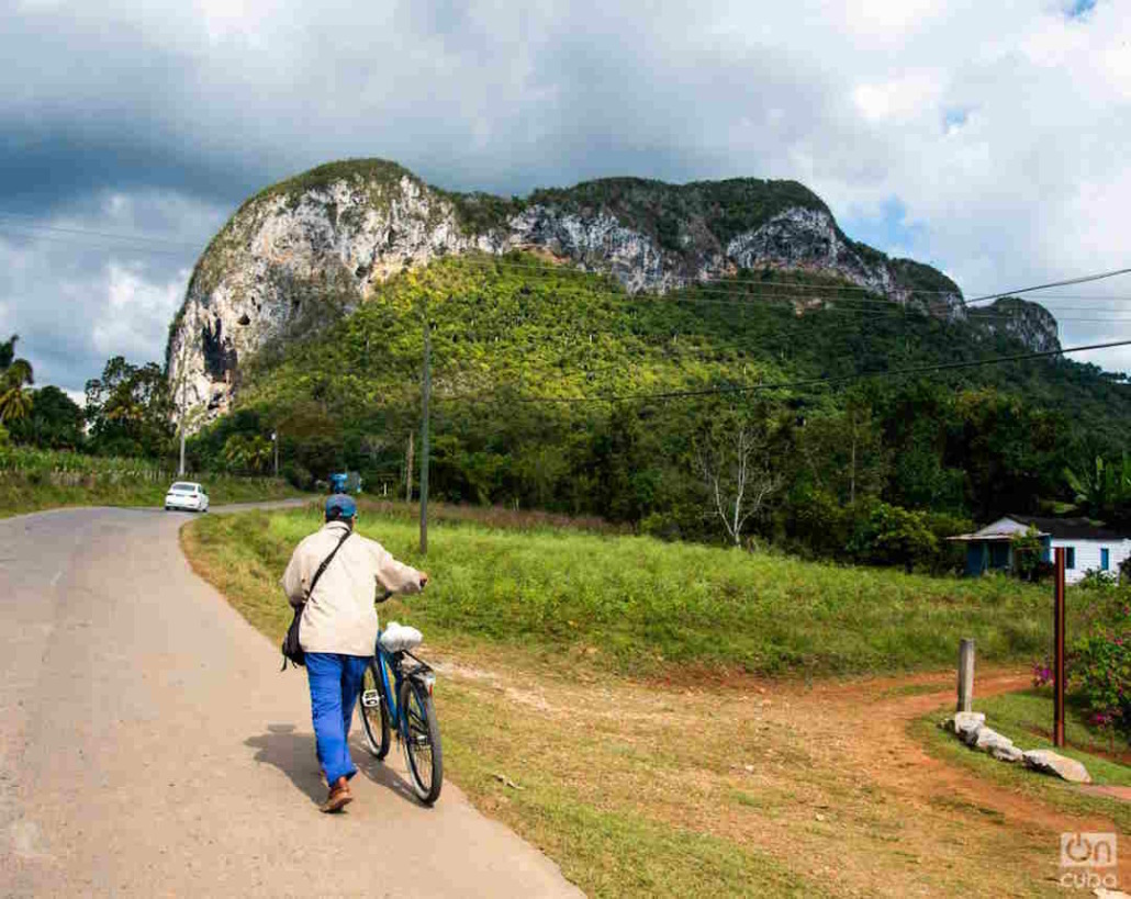 The most complete fossil petrified skeleton found in Viñales