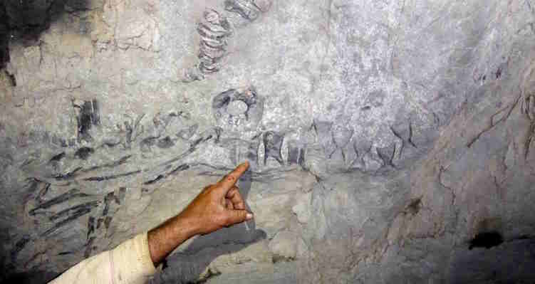 El esqueleto petrificado fósil más completo encontrado en Viñales