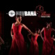 Havana on the dance scene with Ballet Beyond Borders
