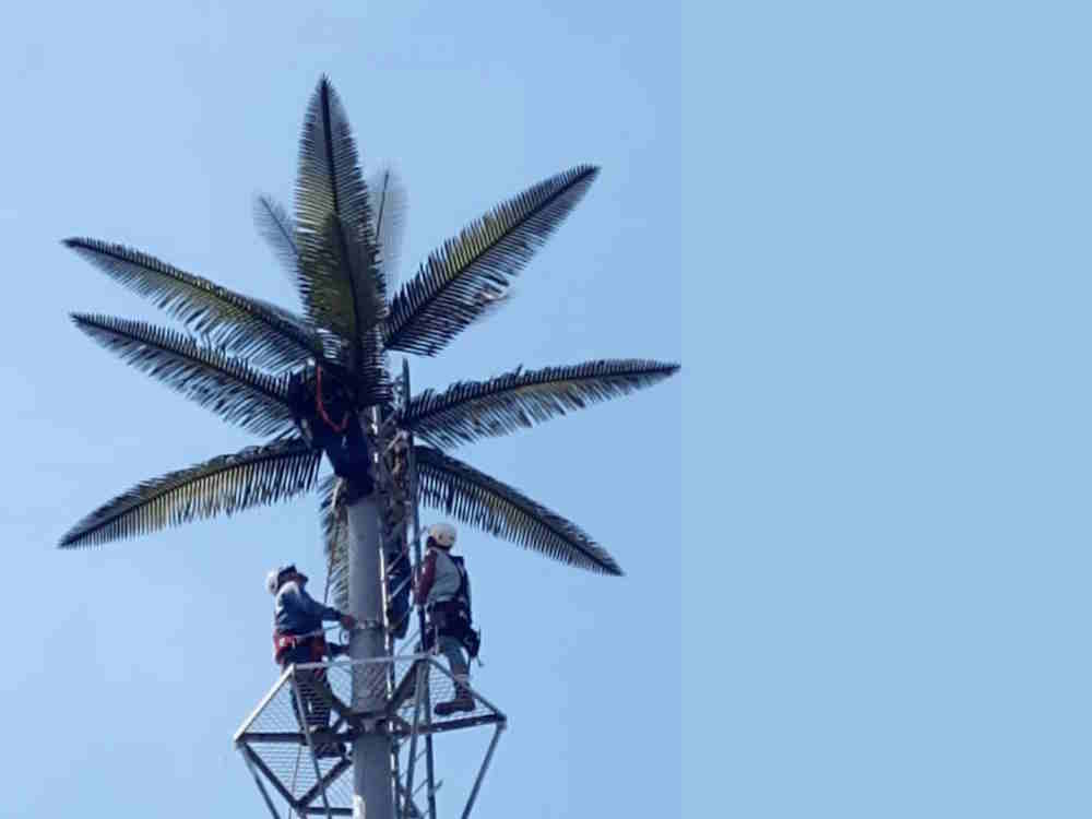 A palm-shaped antenna for cellular service is installed