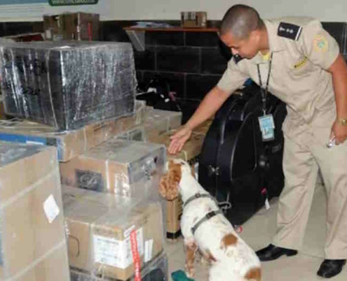 Customs intercepts more weapons, drugs, tobacco contraband, money and medicines at Cuban airports