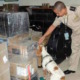 Customs intercepts more weapons, drugs, tobacco contraband, money and medicines at Cuban airports
