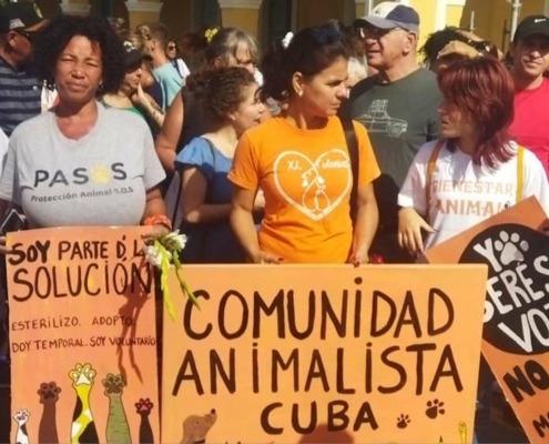 Cuban animal activists carry out a pilgrimage in Havana for Dog Day
